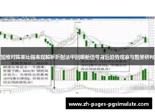 加维对阵莱比锡表现解析折射法甲回暖新信号背后趋势观察与前景研判
