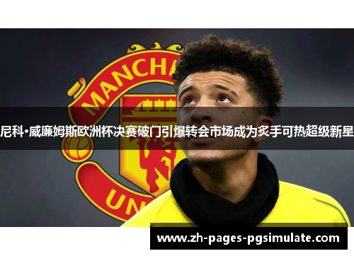 尼科·威廉姆斯欧洲杯决赛破门引爆转会市场成为炙手可热超级新星